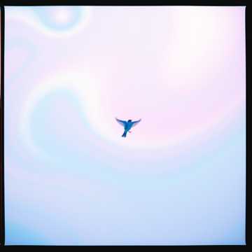 Album