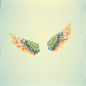 Album