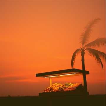 Album