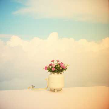 Album